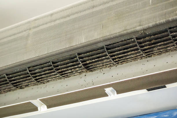 Best Air Vent Cleaning Services  in Greenfield, IN